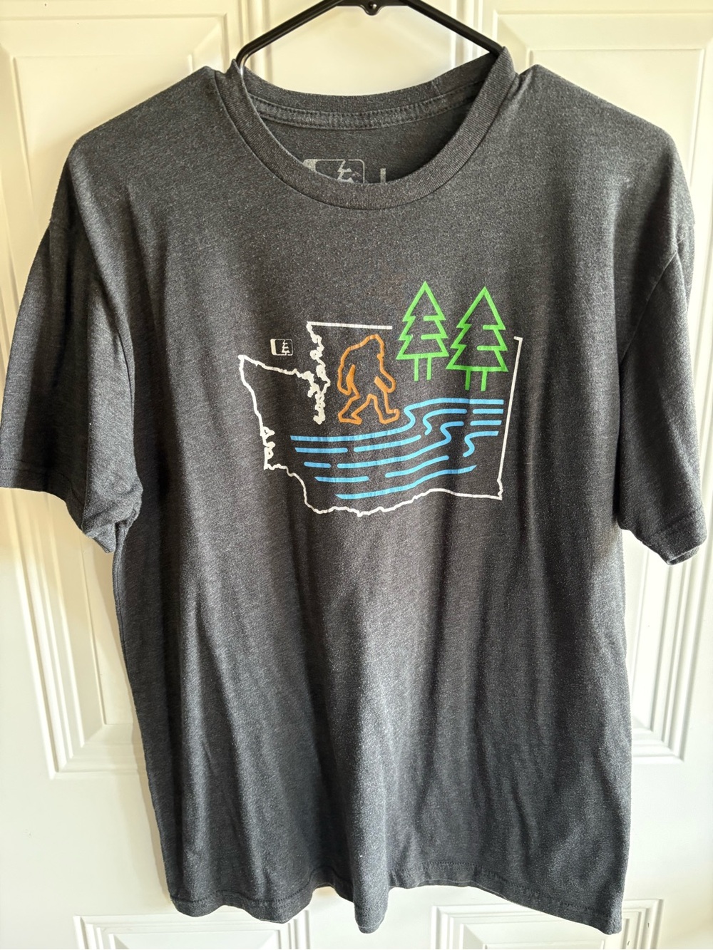 Northwest Charcoal Graphic Tee with Neon Green and Blue Accents